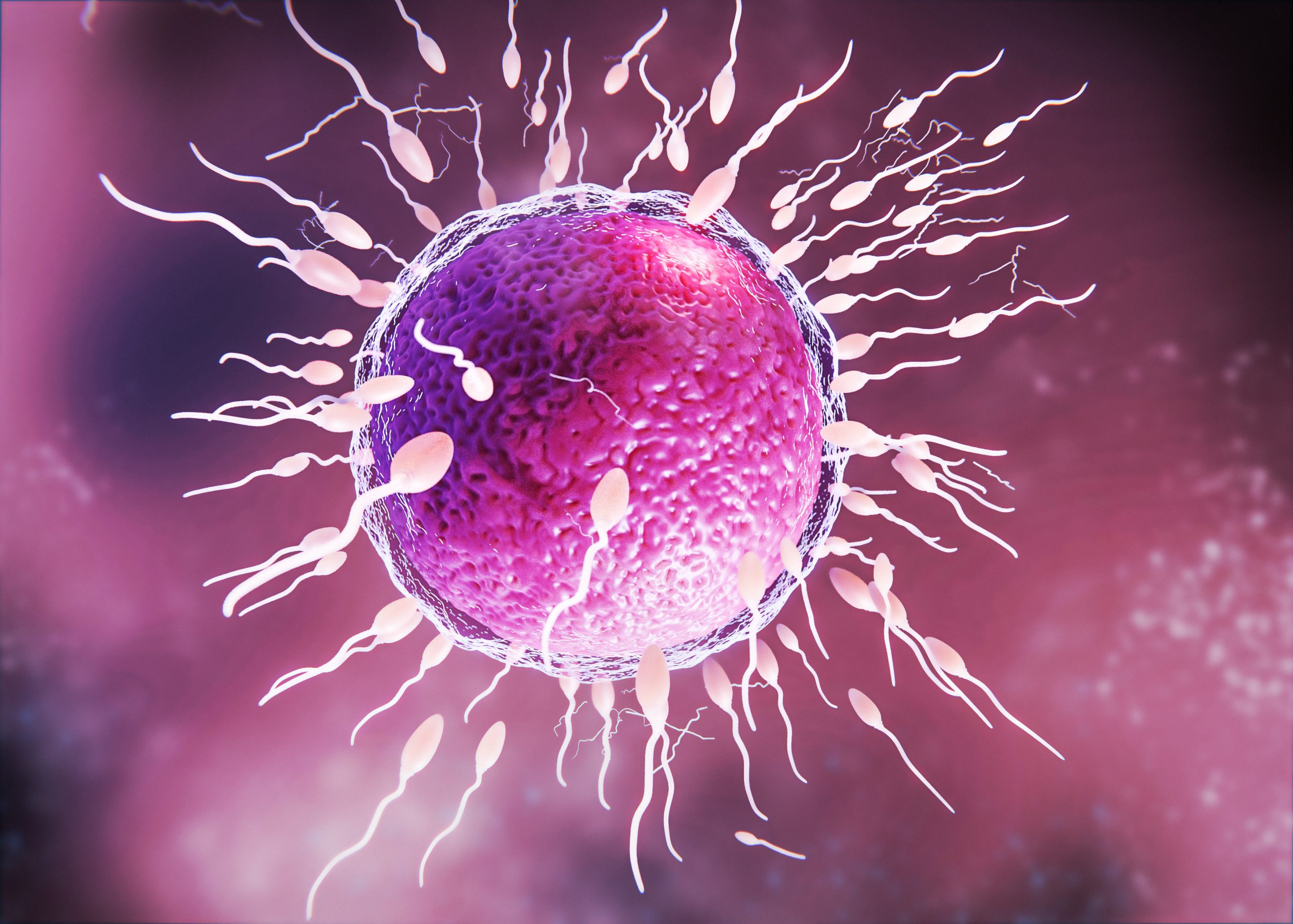 Fertility
