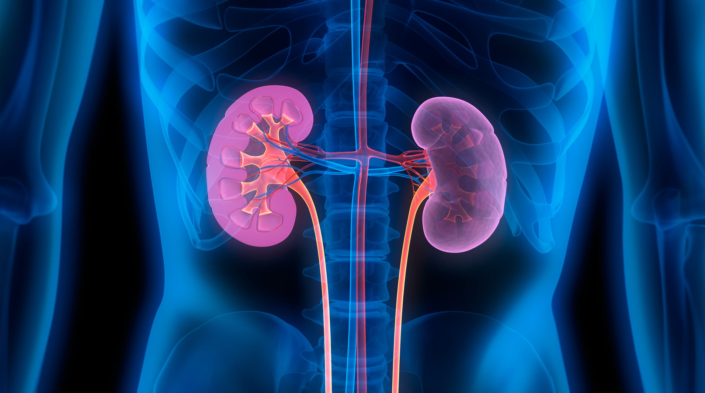 Kidney Cancer Treatment in Navi Mumbai