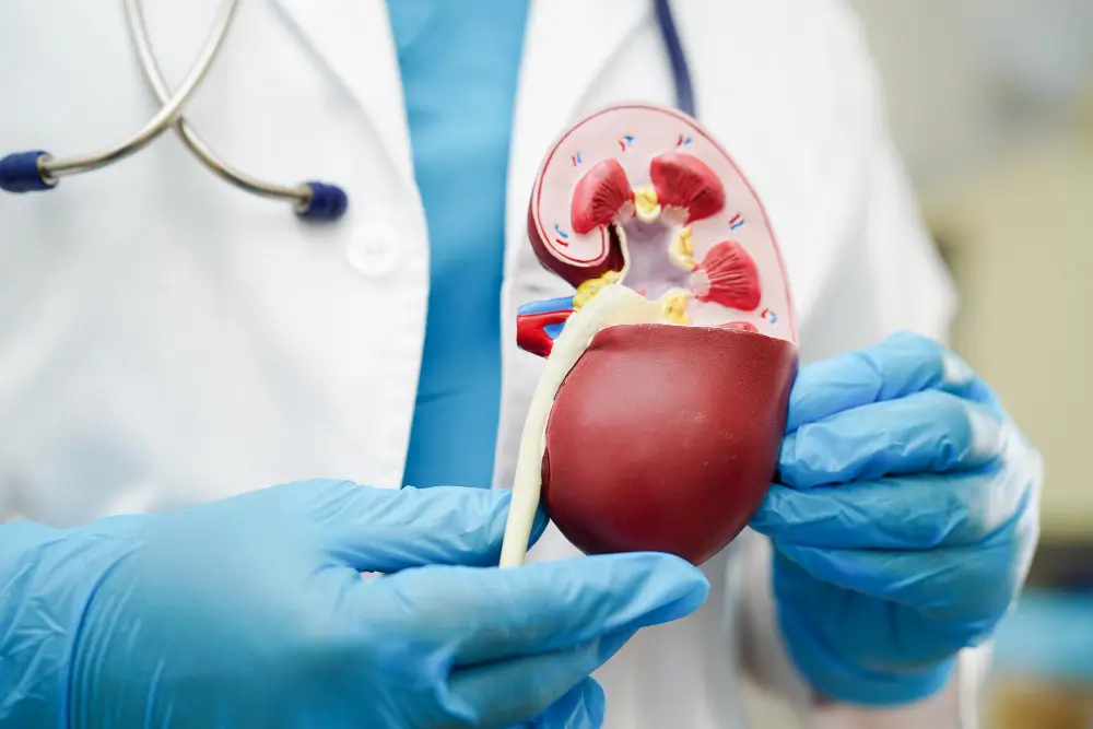 Hydronephrosis in infants
